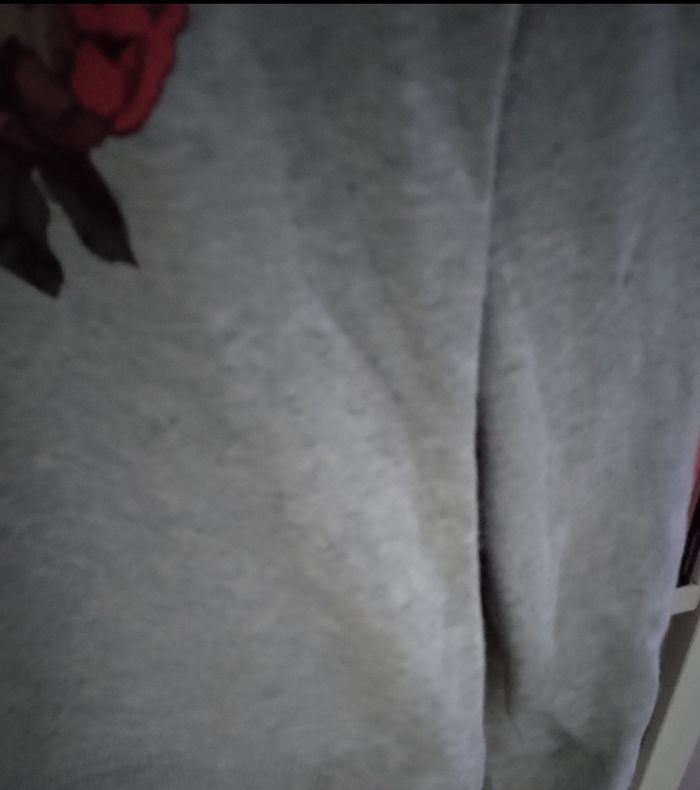 Très beau Sweat à capuche chaud motif tigre pailleté "H&M" 13/14 ans 100% coton - photo numéro 9