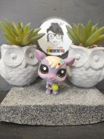 My Littlest Petshop Pet Shop  LPS kangourou kangaroo 2224 #geektradelpskangourou