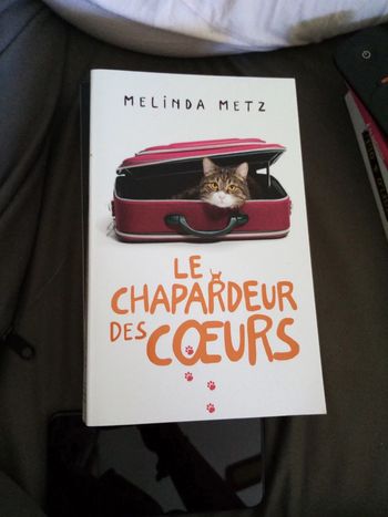 Le chapardeur des cœurs