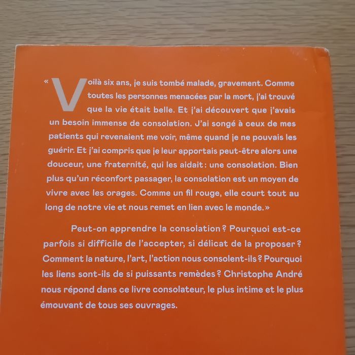 Consolations - photo numéro 4