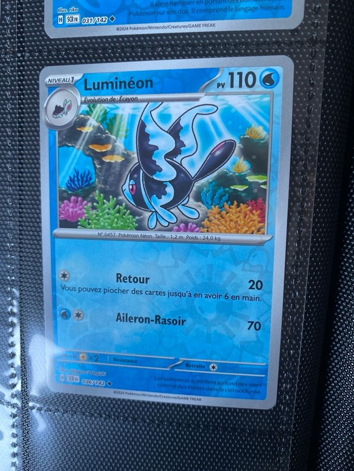 Carte Pokémon reverse neuf