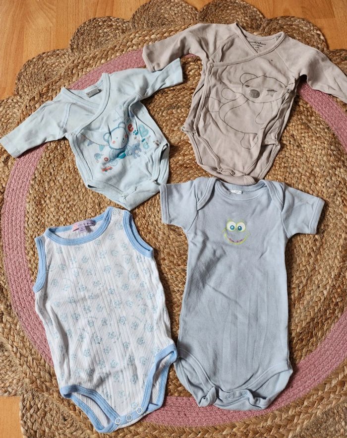 Lot 4 bodies