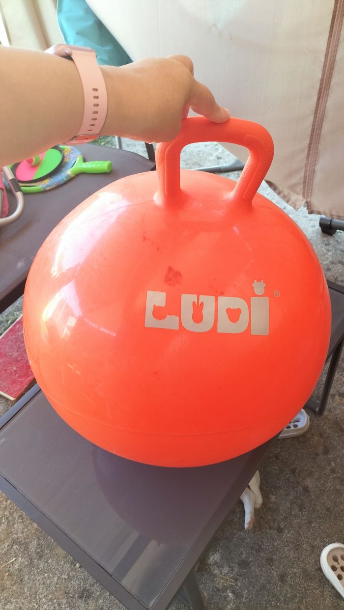 Balón sauteur ludi - photo numéro 2