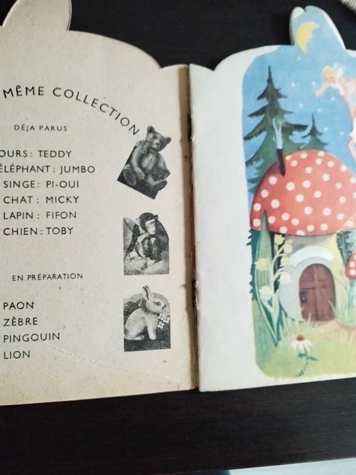 Livre fifon - photo numéro 4