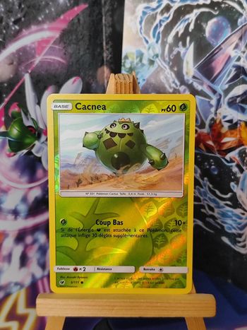 Cacnea reverse 5/111 invasion carmin