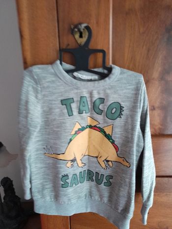 Sweat dinosaure