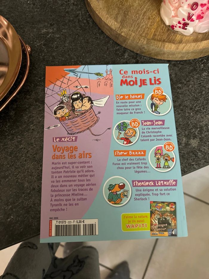 Livre mois je lis voyage dans les airs - photo numéro 2