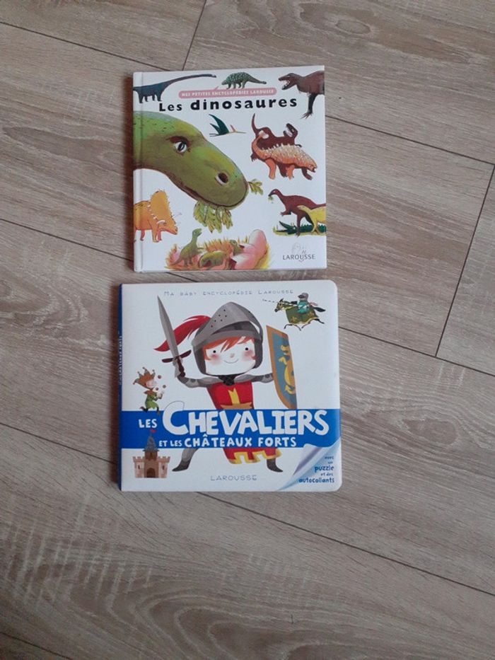 2 livres Les Chevaliers et les Dinosaures