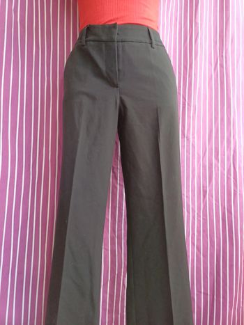 Pantalons tailleurs évasée