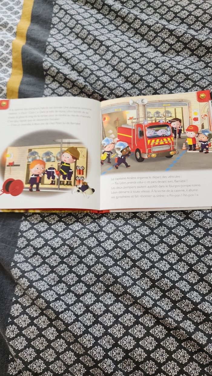 Incendie à la ferme - photo numéro 2