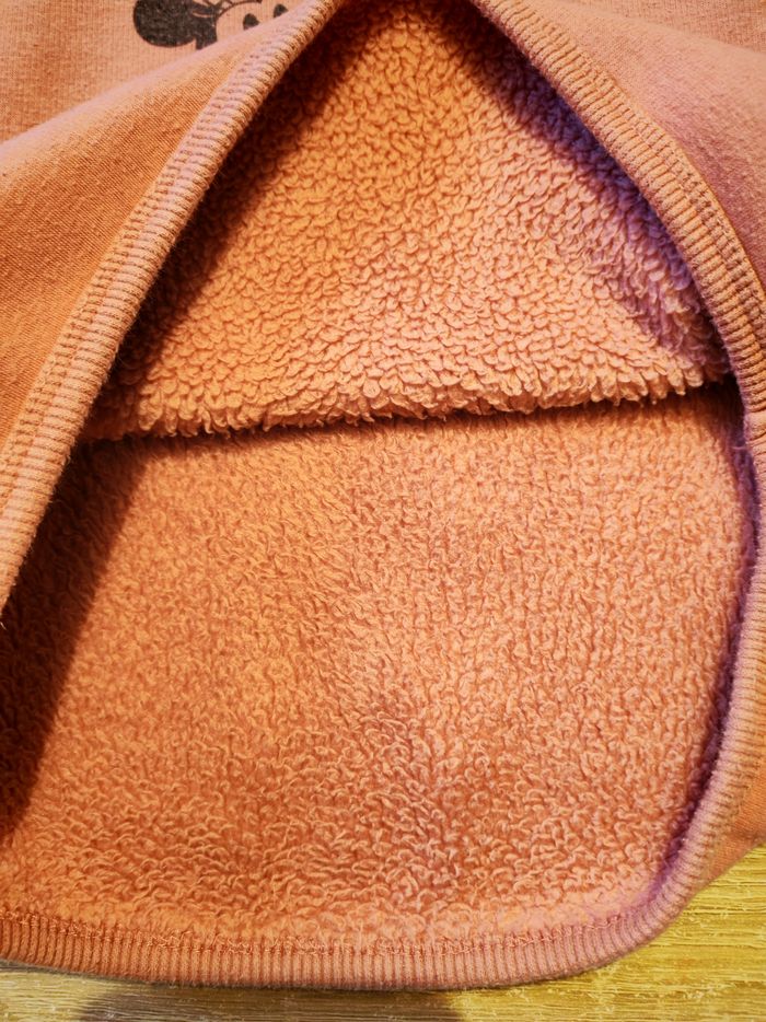 Sweat Disney Baby – 18 mois, doublé polaire - photo numéro 4