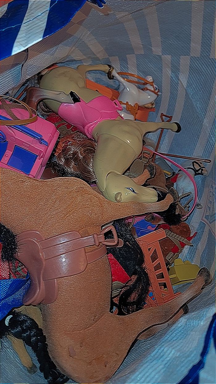 Cheveux - photo numéro 3