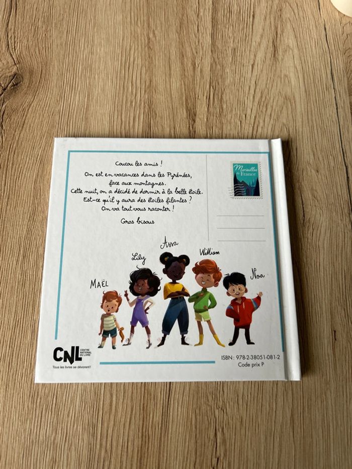 Livre McDo, le pic du Midi d’OSsau - photo numéro 2