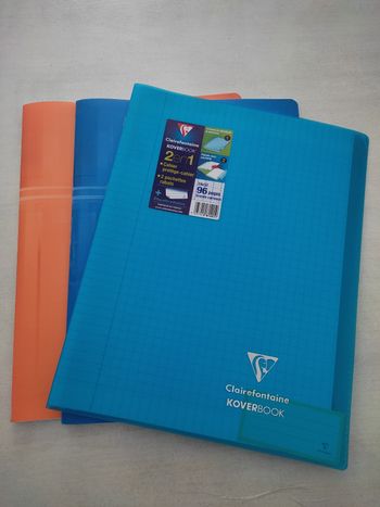 Lot de 3 cahiers 96 pages  grands carreaux