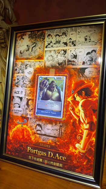 ❤️‍🔥 Ace Manga - Manga Collection - OP02