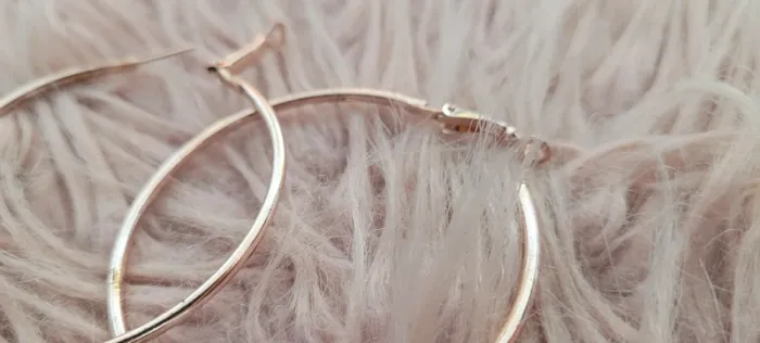 Boucles d oreilles Anneaux - photo numéro 5