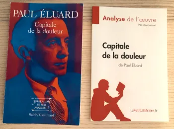 Capitale de la douleur (Roman et analyse) (Éluard)
