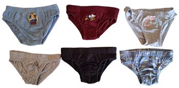 Lot de 6 slips garçon 4-5 ans BE