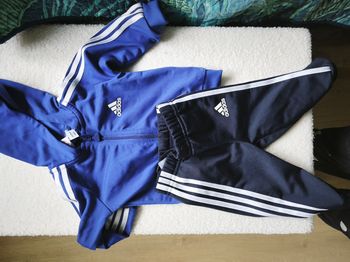 Ensemble adidas 3-6mois