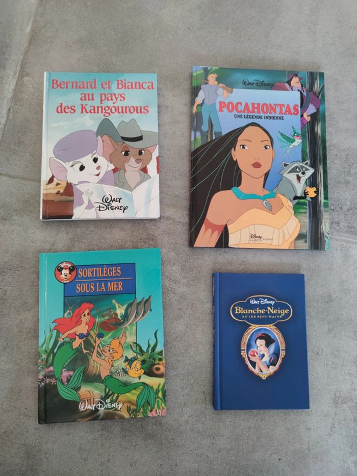 Disney 3 magnifique livres Disney - photo numéro 5