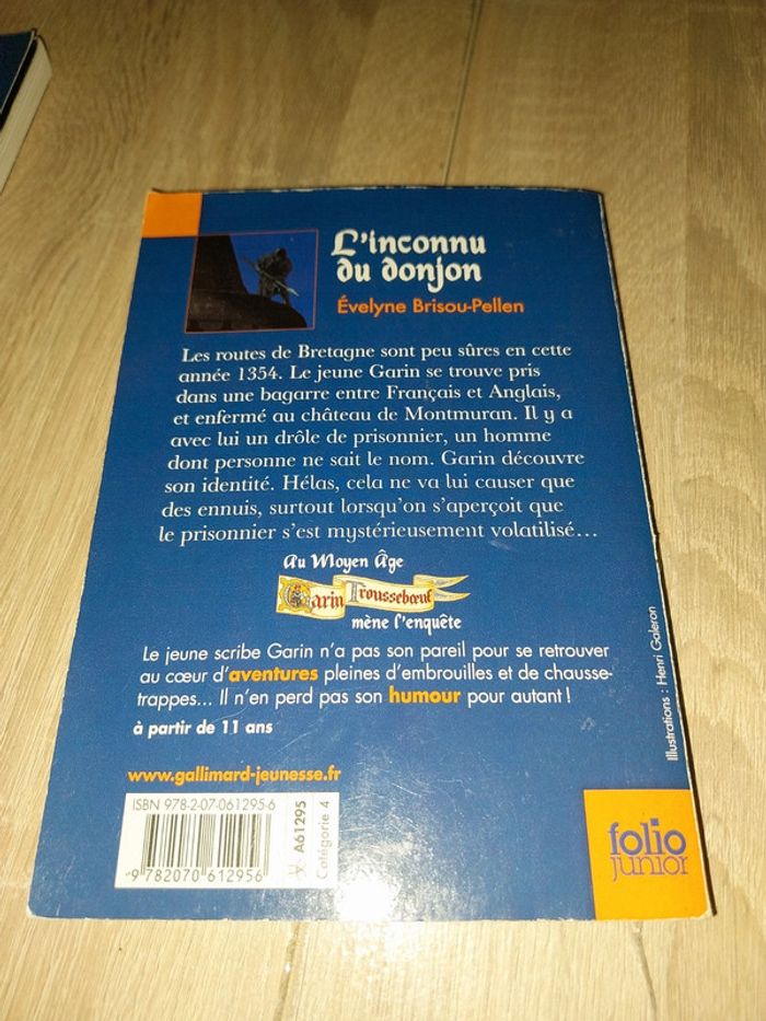 Livre l'inconnu du donjon - photo numéro 2