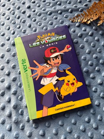 livre Pokémon 