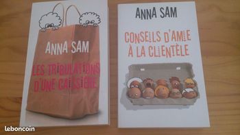 Lot "Les Tribulations d'une caissière"