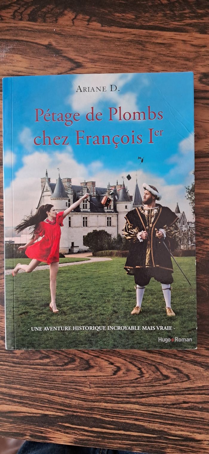PETAGE DE PLOMBS CHEZ FRANCOIS 1ER - photo numéro 1