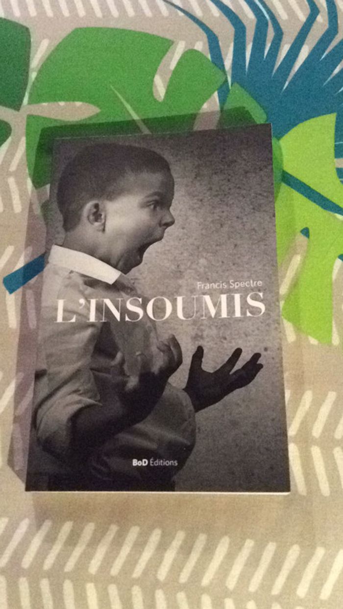 #l’insoumis par Francis Spectre - photo numéro 2