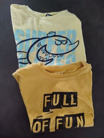 Lot de 2 tee-shirts 