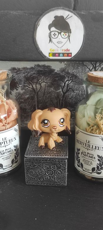 My Littlest Petshop Pet Shop LPS Authentic  Authentique Dog Spaniel 575 Epagneul