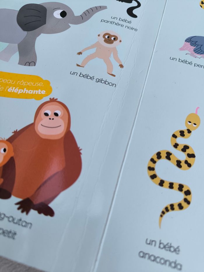 Livre Mes premiers bébés animaux à toucher Auzou - photo numéro 8