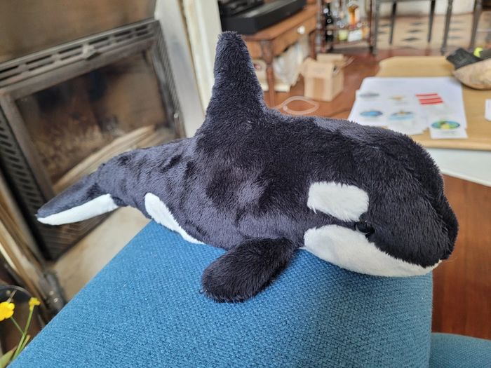 Peluche 31cm Orque Douglas (Baleine, dauphin, océan, mer) doux doudou collection - photo numéro 3