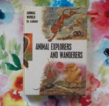 Animal explorers and wanderers Animal world in colour M. Burton