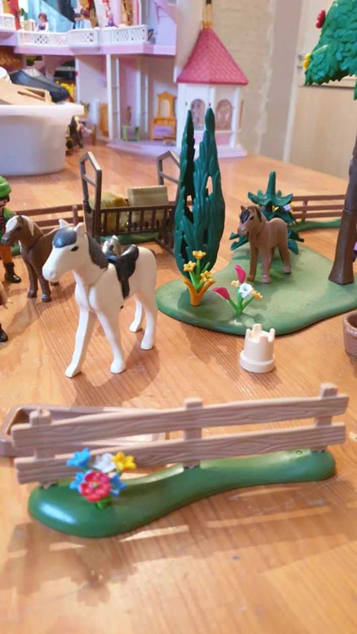 Lot équestre playmobil - photo numéro 9