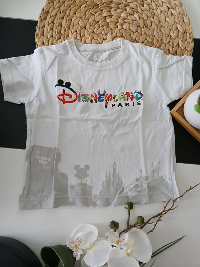 Haut d'été garçon Disneyland Paris Taille 2 ans🌿🦁