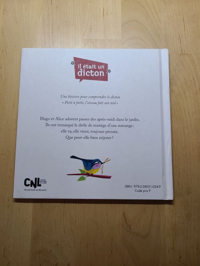 Petit à petit, l'oiseau fait son nid - photo numéro 3