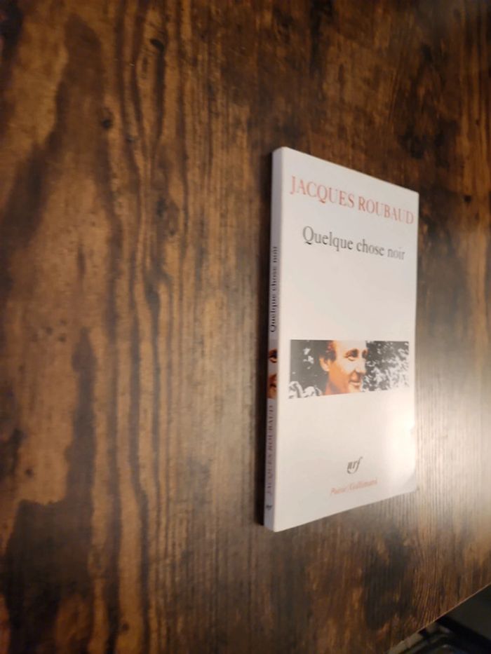 Livre : Quelques chose noir - photo numéro 2