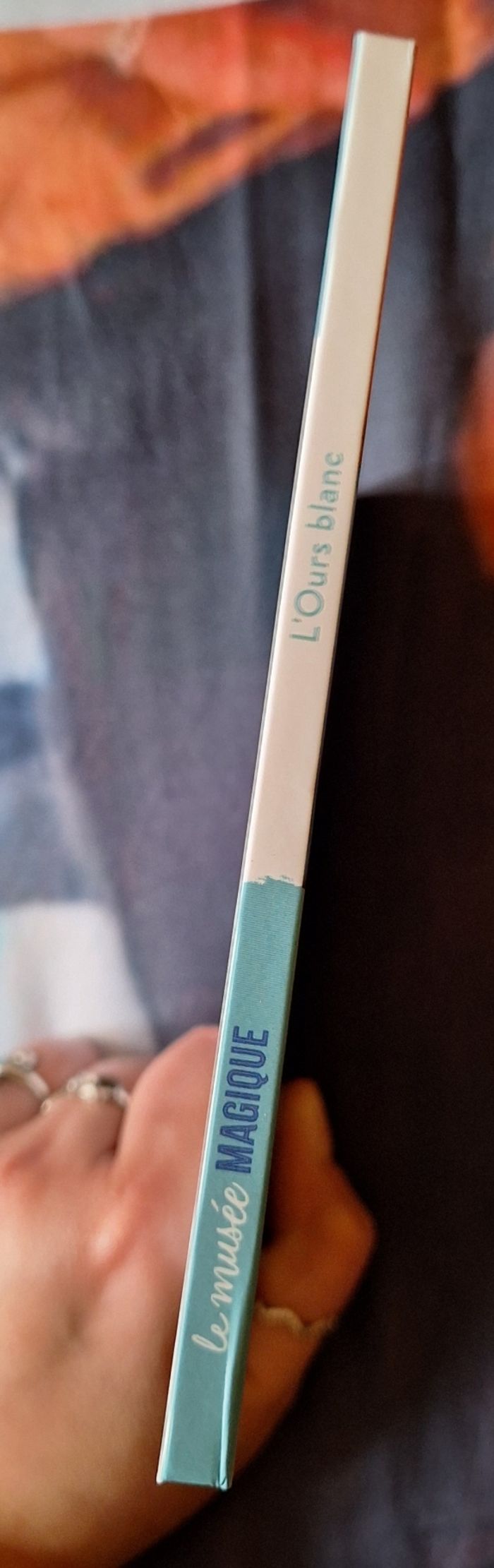 Livre L'Ours Blanc Hachette - photo numéro 3