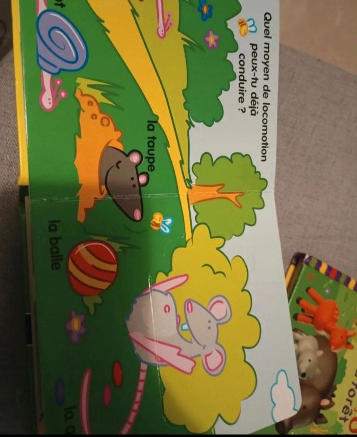 2 livres bébé dont 1 avec volets à soulever - photo numéro 4