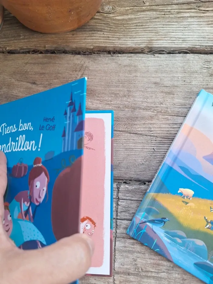 Lot de 4 livres enfants hachette Virginie grimaud, Alexandre - photo numéro 2