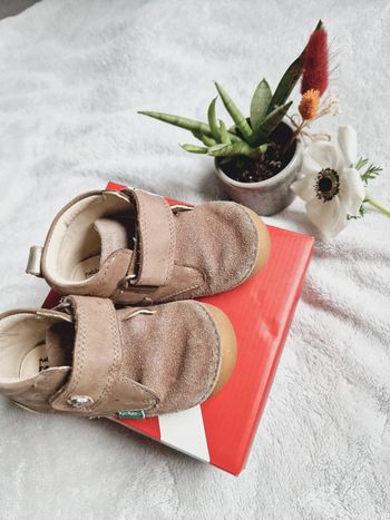 Kickers Sabio taupe imprimé