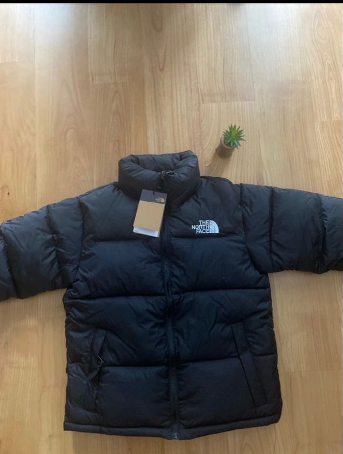 Doudoune The North Face 700 (Taille S )Neuf avec étiquette