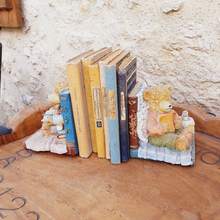Serre livres - photo numéro 2