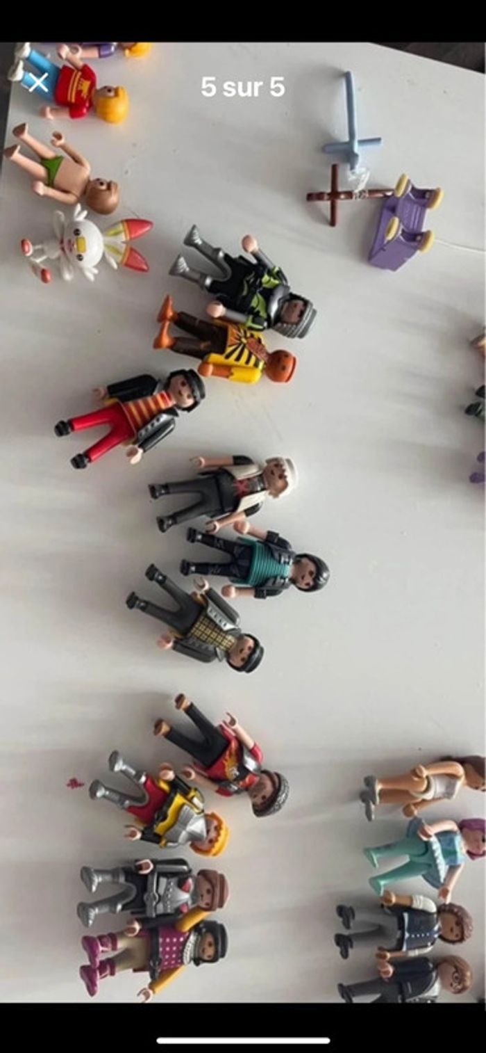 Playmobils et accessoires - photo numéro 3