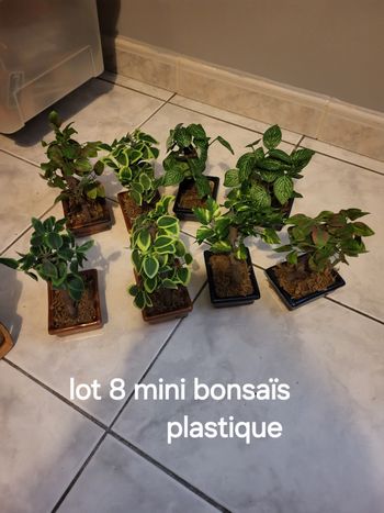 Lot decoration 8 mini bonsaï plastique