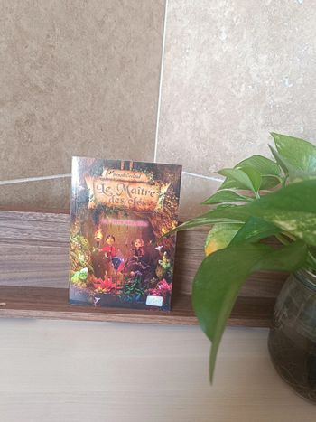 Livre le maître des clés