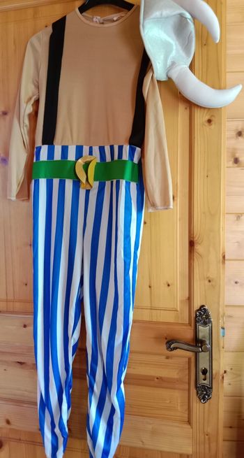 Déguisement Obelix