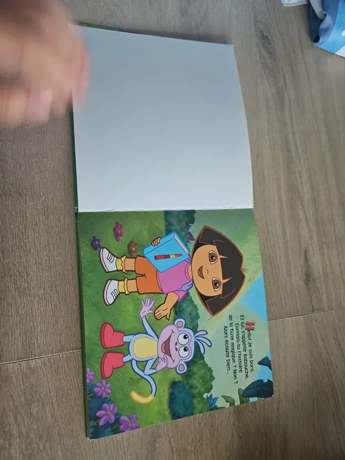 Livre dora l'exploratrice - photo numéro 3
