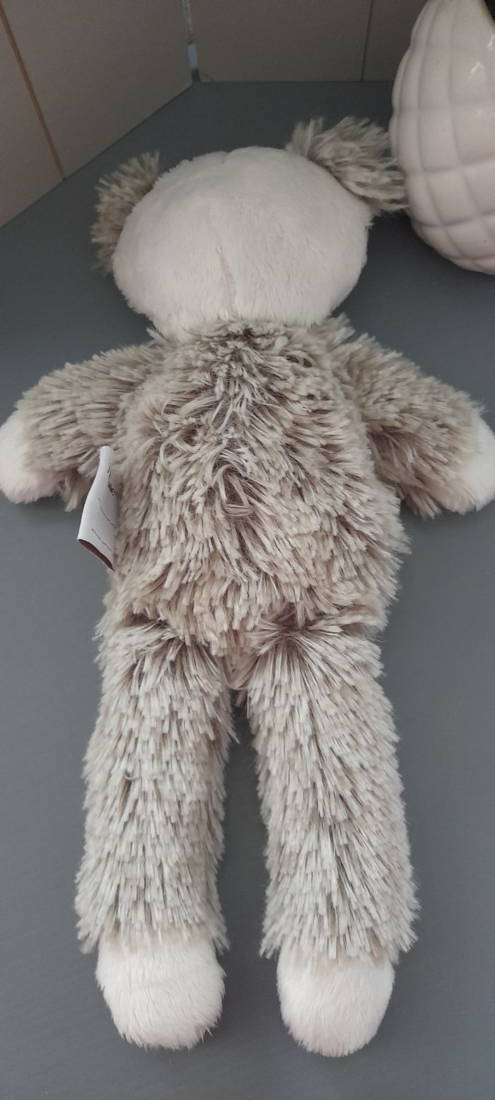 Ours 🐻 trois kilos sept - photo numéro 3